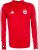 Adidas FC Bayern Training Top 2017/2018