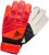 Adidas Predator Training (DN8563) Active Red / Black / Solar Red