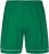 Adidas Squadra 17 Shorts green