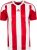 Adidas Striped 15 Jersey power red/white