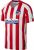 Nike Atletico de Madrid Home Jersey Stadium 2020