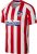 Nike Atletico de Madrid Home Jersey Youth Stadium 2020