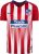 Nike Atlético Madrid Home Jersey 2018/2019 Youth