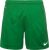 Nike Park Dri-Fit Knit Shorts pine green