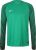 Nike Performance Gardien Goalkeeper Jersey longsleeve green